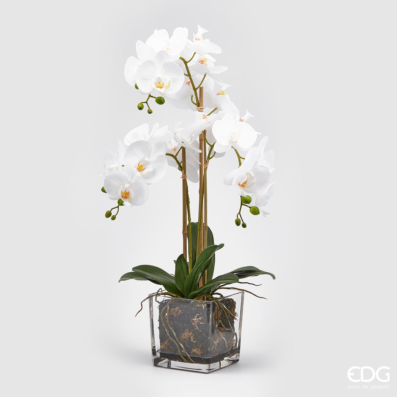 Fiori e piante artificiali Fiore artificiale Vaso in vetro con Orchidea  artificiale Real Touch – Fenixluciedecori